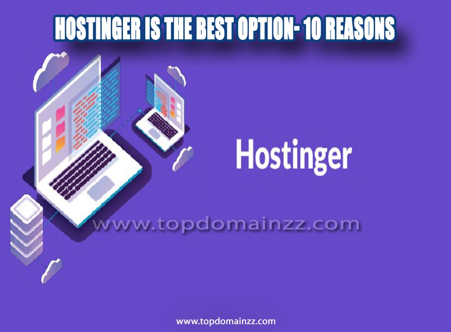 Hostinger is the best option 10 Reasons04 1