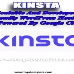 Kinsta: Scalable and Developer-Friendly WordPress&hellip;