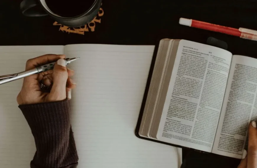 What Are the Best Study Techniques for Students?